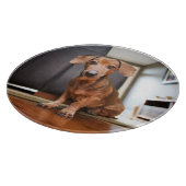 Cutest Baby Animals | Mini Dachshund Puppy Schneidebrett (Ecke)