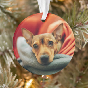 Cutest Baby Animals Miniature Pinscher Ornament