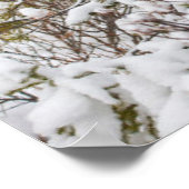 Cutest Baby Animals | Moose Calf Poster (Ecke)