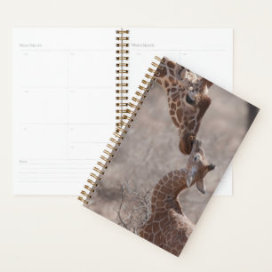 Cutest Baby Animals   Mother and Baby Giraffe Planer