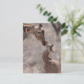 Cutest Baby Animals | Mother and Baby Giraffe Postkarte (Stehend Vorderseite)