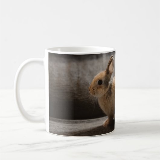 Cutest Baby Animals | Netherland Dwarf Rabbit Kaffeetasse (Links)