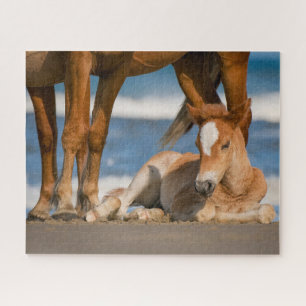 Cutest Baby Animals Newborn Corolla Wild Horse Puzzle