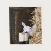 Cutest Baby Animals | Newborn Lamb Wandteppich (Vorderseite)