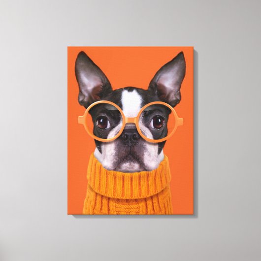 Cutest Baby Animals | Orange Boston Terrier Leinwanddruck (Vorderseite)