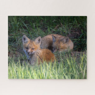 Cutest Baby Animals   Pair of Red Fox Kit Siblings Puzzle