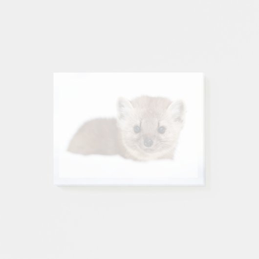 Cutest Baby Animals | Pine Marten Post-it Klebezettel (Vorderseite)