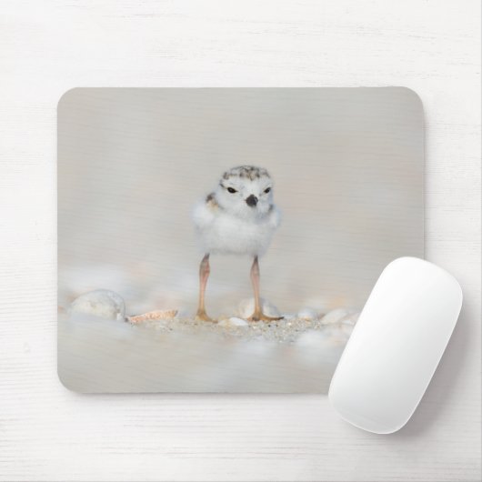 Cutest Baby Animals | Piping Plover Chick Mousepad (Mit Mouse)