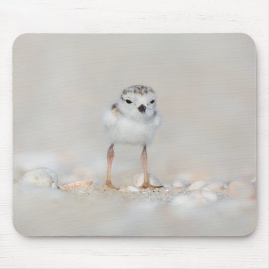 Cutest Baby Animals | Piping Plover Chick Mousepad (Vorne)