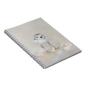 Cutest Baby Animals | Piping Plover Chick Notizblock (Rechte Seite)
