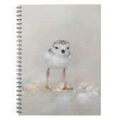 Cutest Baby Animals | Piping Plover Chick Notizblock (Vorderseite)