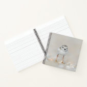 Cutest Baby Animals | Piping Plover Chick Notizblock (Innenseite)