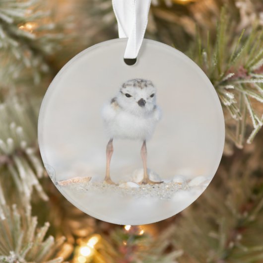 Cutest Baby Animals | Piping Plover Chick Ornament (Baum)