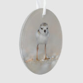 Cutest Baby Animals | Piping Plover Chick Ornament (Vorderseite)