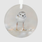Cutest Baby Animals | Piping Plover Chick Ornament (Rückseite)