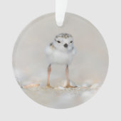 Cutest Baby Animals | Piping Plover Chick Ornament (Vorderseite)