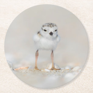 Cutest Baby Animals Piping Plover Chick Runder Pappuntersetzer