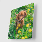 Cutest Baby Animals | Pointer Puppy Quadratische Wanduhr (Winkel)
