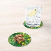 Cutest Baby Animals | Pointer Puppy Runder Pappuntersetzer (Vor Ort)