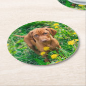 Cutest Baby Animals | Pointer Puppy Runder Pappuntersetzer (Angewinkelt)