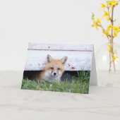 Cutest Baby Animals | Red Fox Kit Peeking Karte (Gelbe Blume)