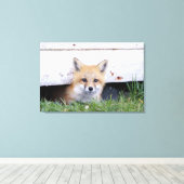 Cutest Baby Animals | Red Fox Kit Peeking Leinwanddruck (Insitu (Holzboden))