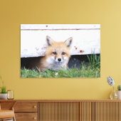 Cutest Baby Animals | Red Fox Kit Peeking Leinwanddruck (Insitu (Wohnzimmer))