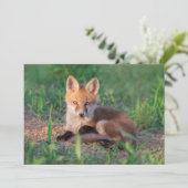 Cutest Baby Animals | Red Fox Kit Relaxing Dankeskarte (Stehend Vorderseite)