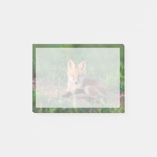 Cutest Baby Animals | Red Fox Kit Relaxing Post-it Klebezettel (Vorderseite)