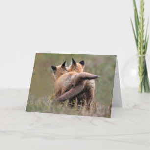 Cutest Baby Animals Red Fox Kits Locking Tails Karte