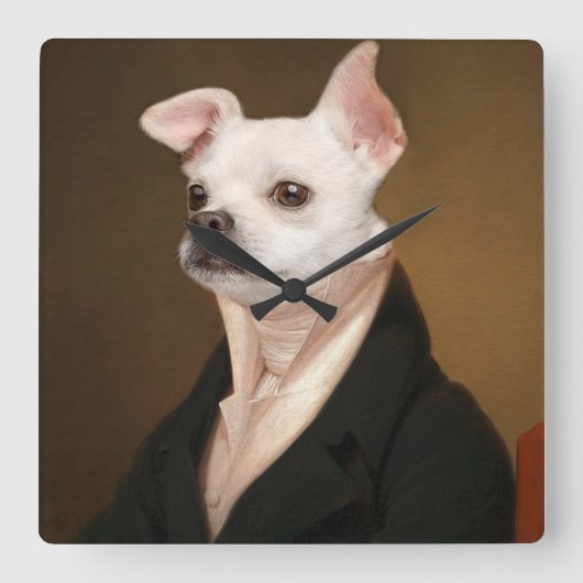 Cutest Baby Animals | Royal Chihuahua Portrait Quadratische Wanduhr (Vorderseite)