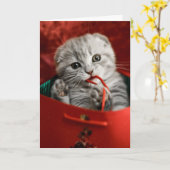 Cutest Baby Animals | Scottish Fold Kitten Karte (Gelbe Blume)