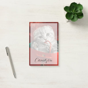 Cutest Baby Animals   Scottish Fold Kitten Post-it Klebezettel