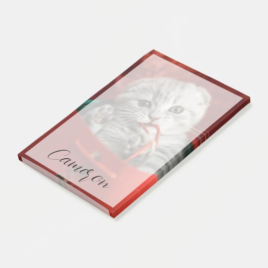 Cutest Baby Animals | Scottish Fold Kitten Post-it Klebezettel (angewinkelt)