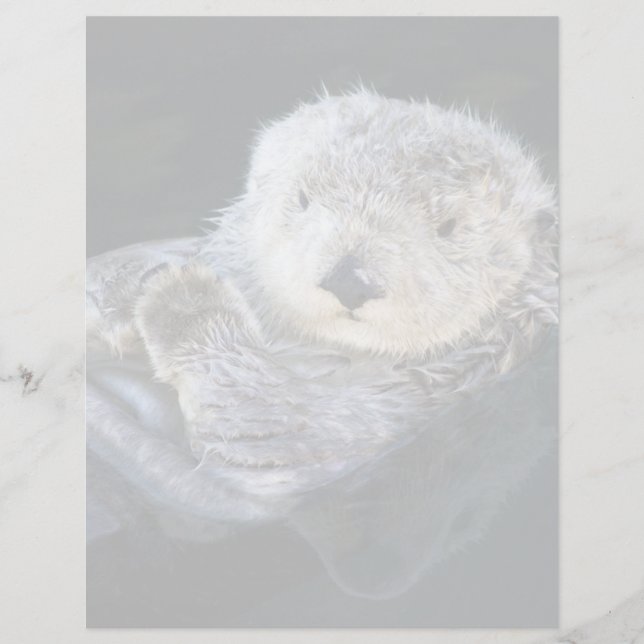 Cutest Baby Animals | Sea Otter Floating (Vorderseite)