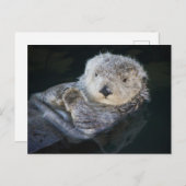 Cutest Baby Animals | Sea Otter Floating Postkarte (Vorne/Hinten)