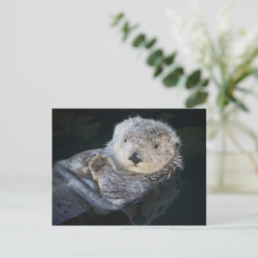 Cutest Baby Animals | Sea Otter Floating Postkarte (Stehend Vorderseite)
