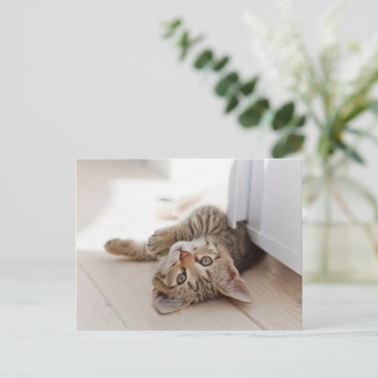 Cutest Baby Animals | Shorthair Tabby Kitten Postkarte (Stehend Vorderseite)