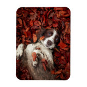Cutest Baby Animals | Spaniel in Autumn Leaves Magnet (Vertikal)