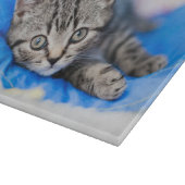 Cutest Baby Animals | Tabby Kitten in Play Tunnel Schneidebrett (Ecke)