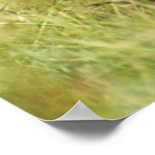 Cutest Baby Animals | Three Chimpanzees Hugging Poster (Ecke)