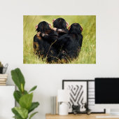 Cutest Baby Animals | Three Chimpanzees Hugging Poster (Heimbüro)