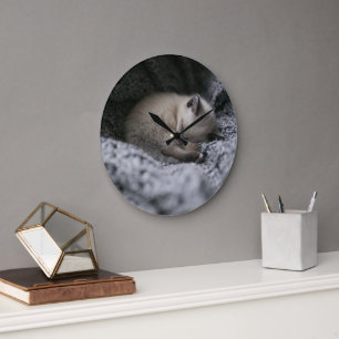 Cutest Baby Animals   Tiny Kitten Sleeping Große Wanduhr