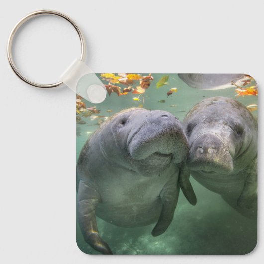 Cutest Baby Animals | Two Manatees Schlüsselanhänger (Vorderseite)