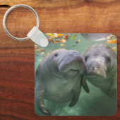 Cutest Baby Animals | Two Manatees Schlüsselanhänger (Vorderseite)