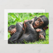 Cutest Baby Animals | Two Young Chimpanzees Postkarte (Vorne/Hinten)