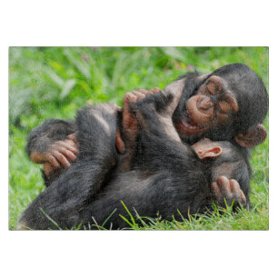 Cutest Baby Animals   Two Young Chimpanzees Schneidebrett