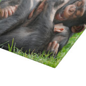 Cutest Baby Animals | Two Young Chimpanzees Schneidebrett (Ecke)