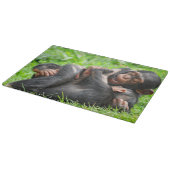 Cutest Baby Animals | Two Young Chimpanzees Schneidebrett (Ecke)