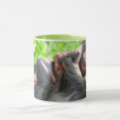 Cutest Baby Animals | Two Young Chimpanzees Tasse (Zentrum)